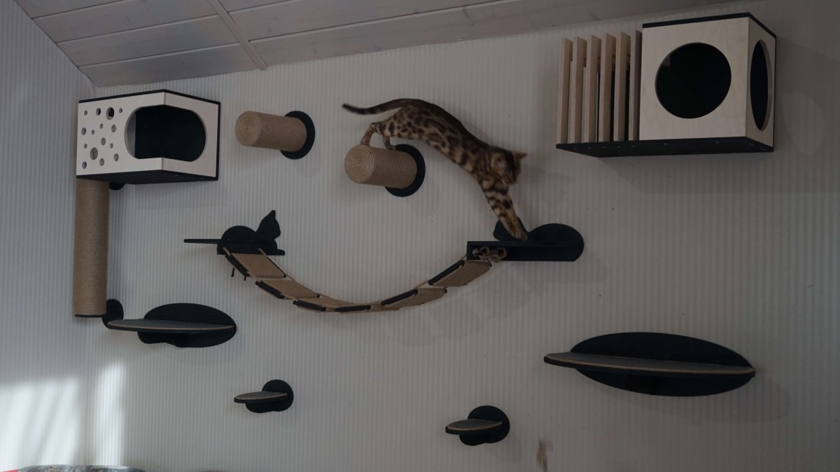 Настенный комплекс для кошек