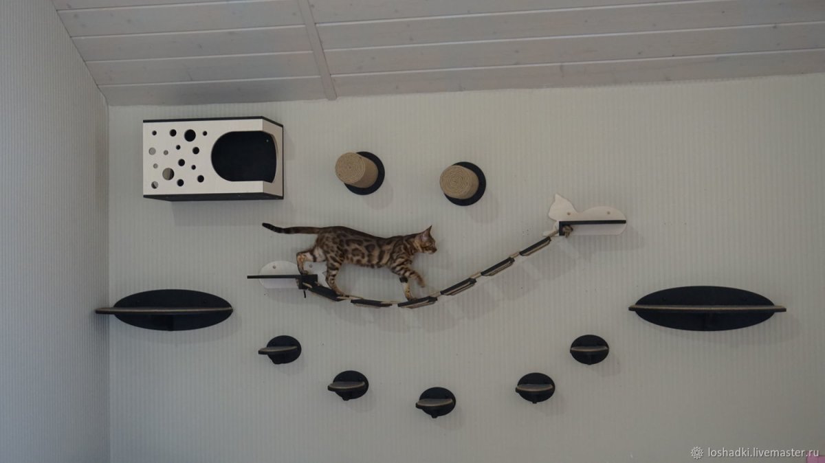 Настенный дом для кота