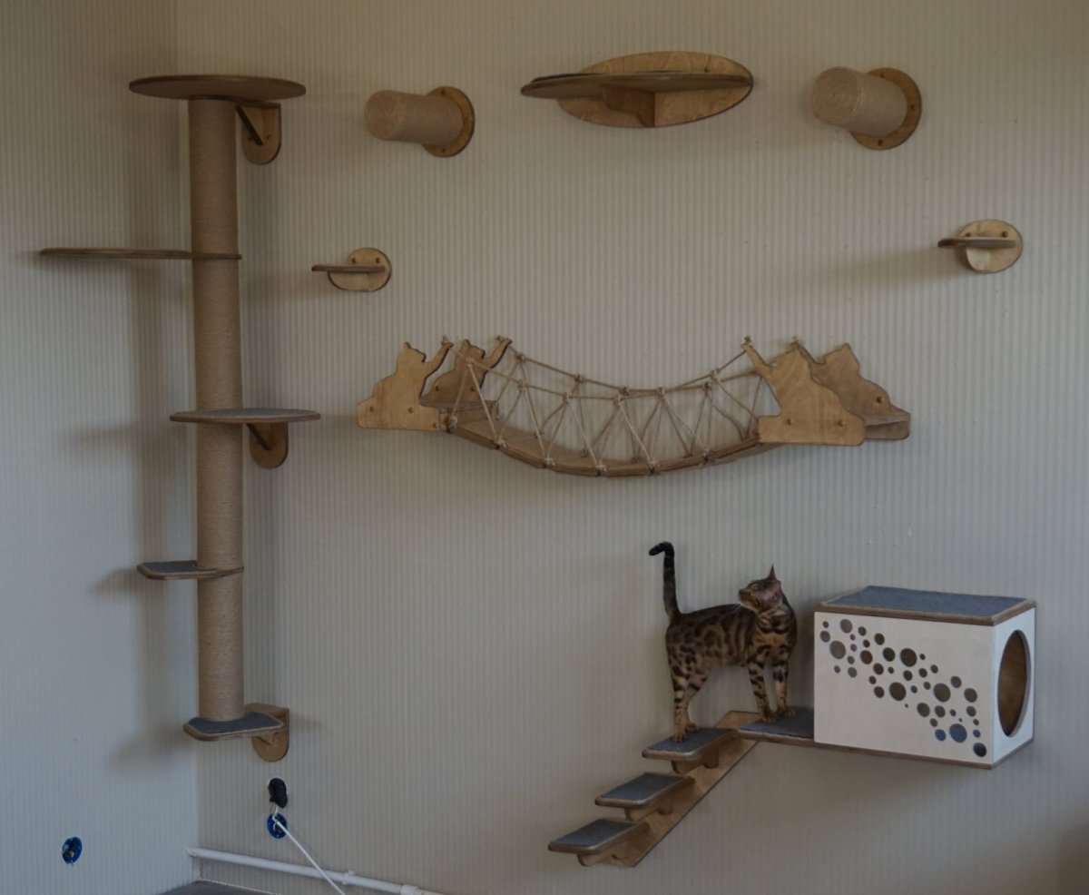 Комплекс для кошек из фанеры
