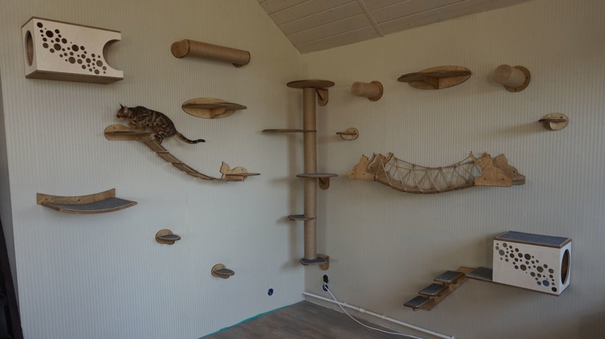 Игровой комплекс для кошек на стену