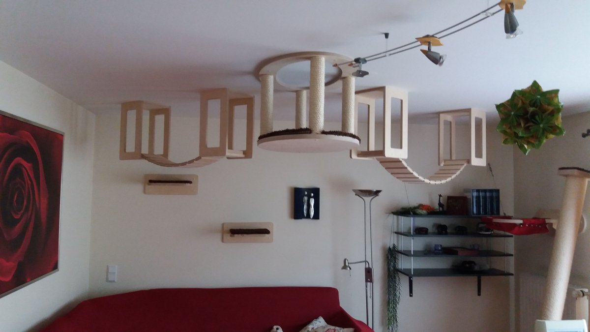 Кошачий дом