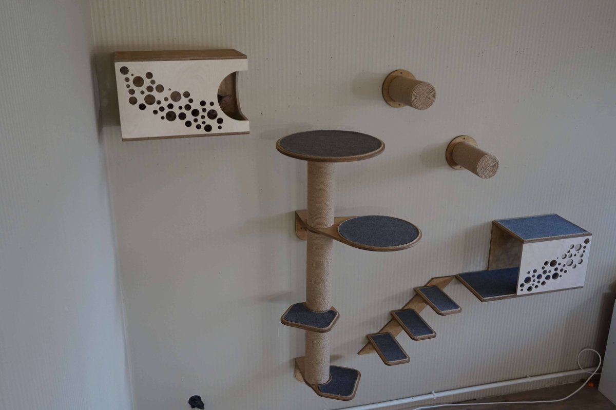 Бекецкий Николай настенный комплекс для кошек