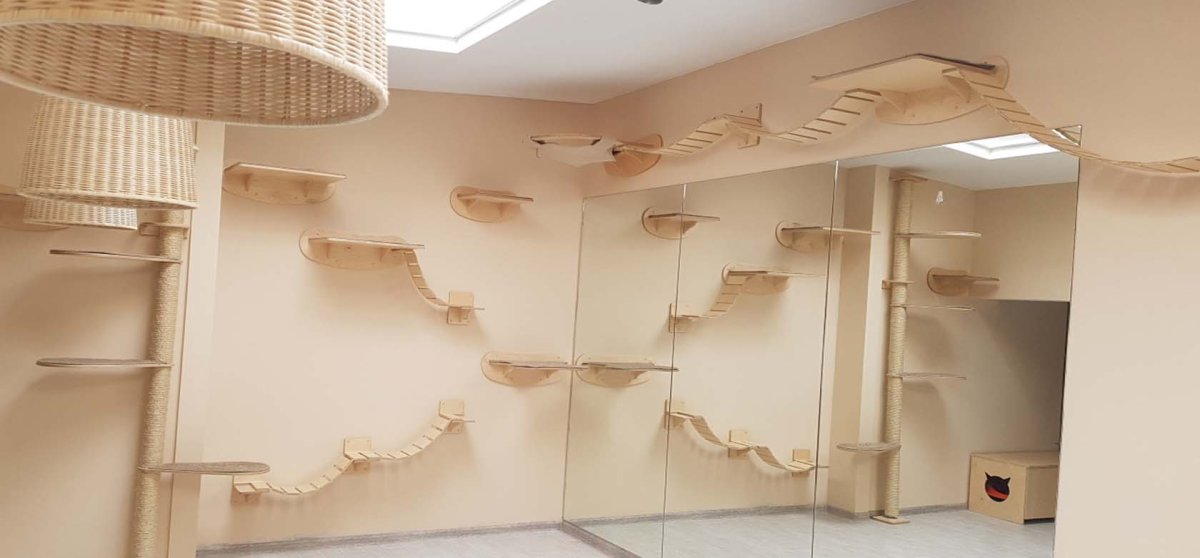 Лазалки для кошек