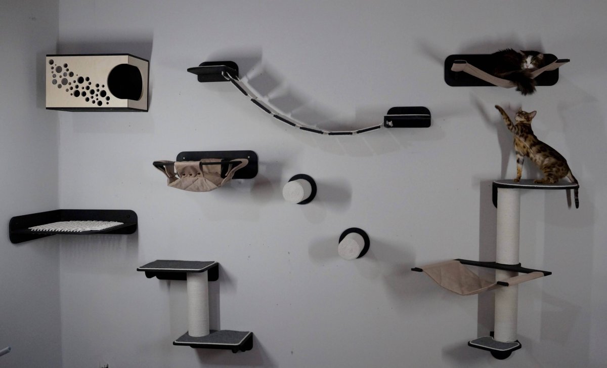 Игровой комплекс для кошек, Jiyoun Kim Studio.