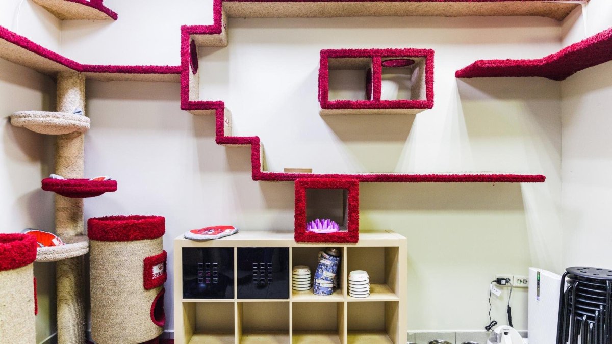 Настенный домик для кошки