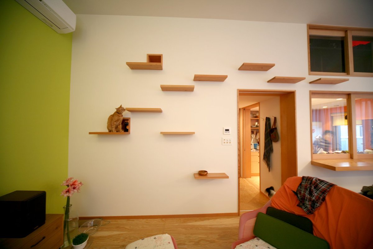 Комната для котов