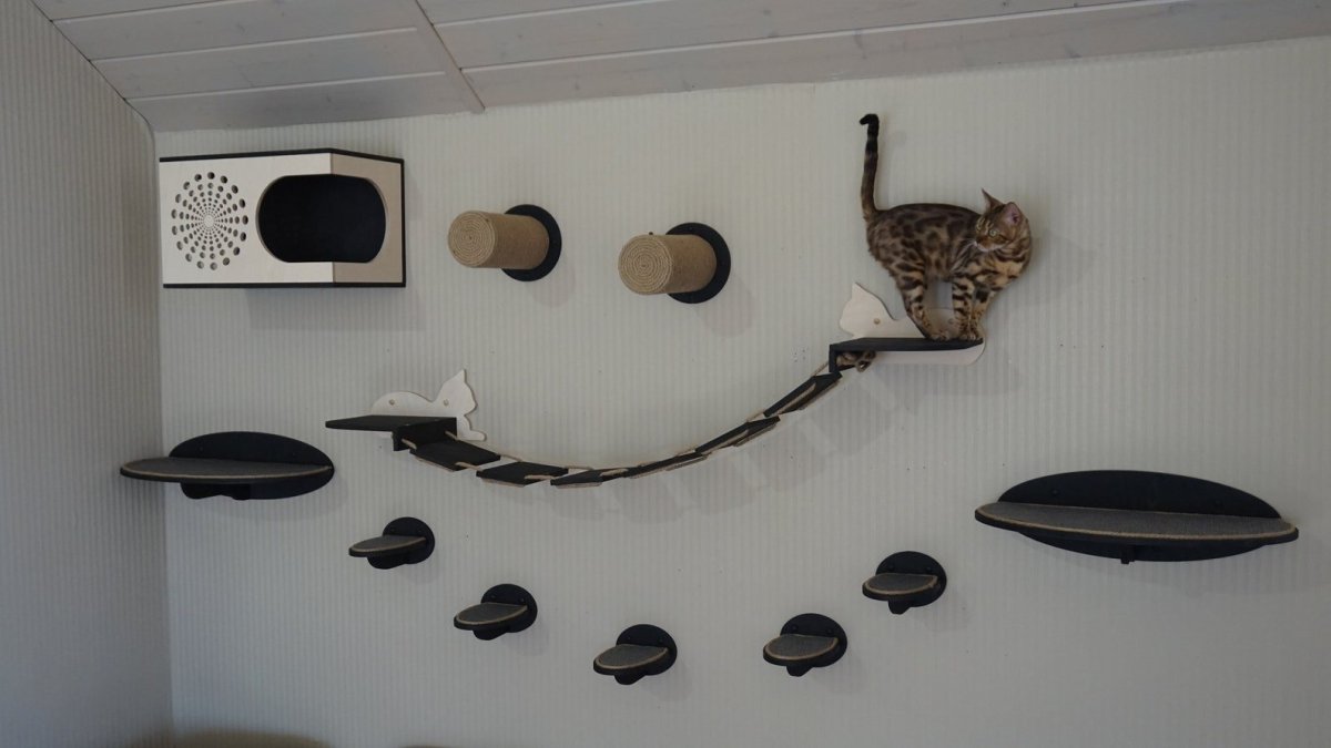 Полки для кошек