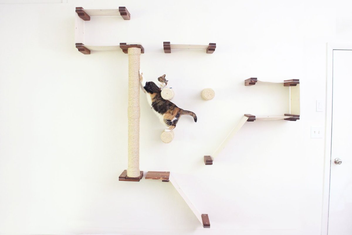 Игровые комплексы для котов на стену
