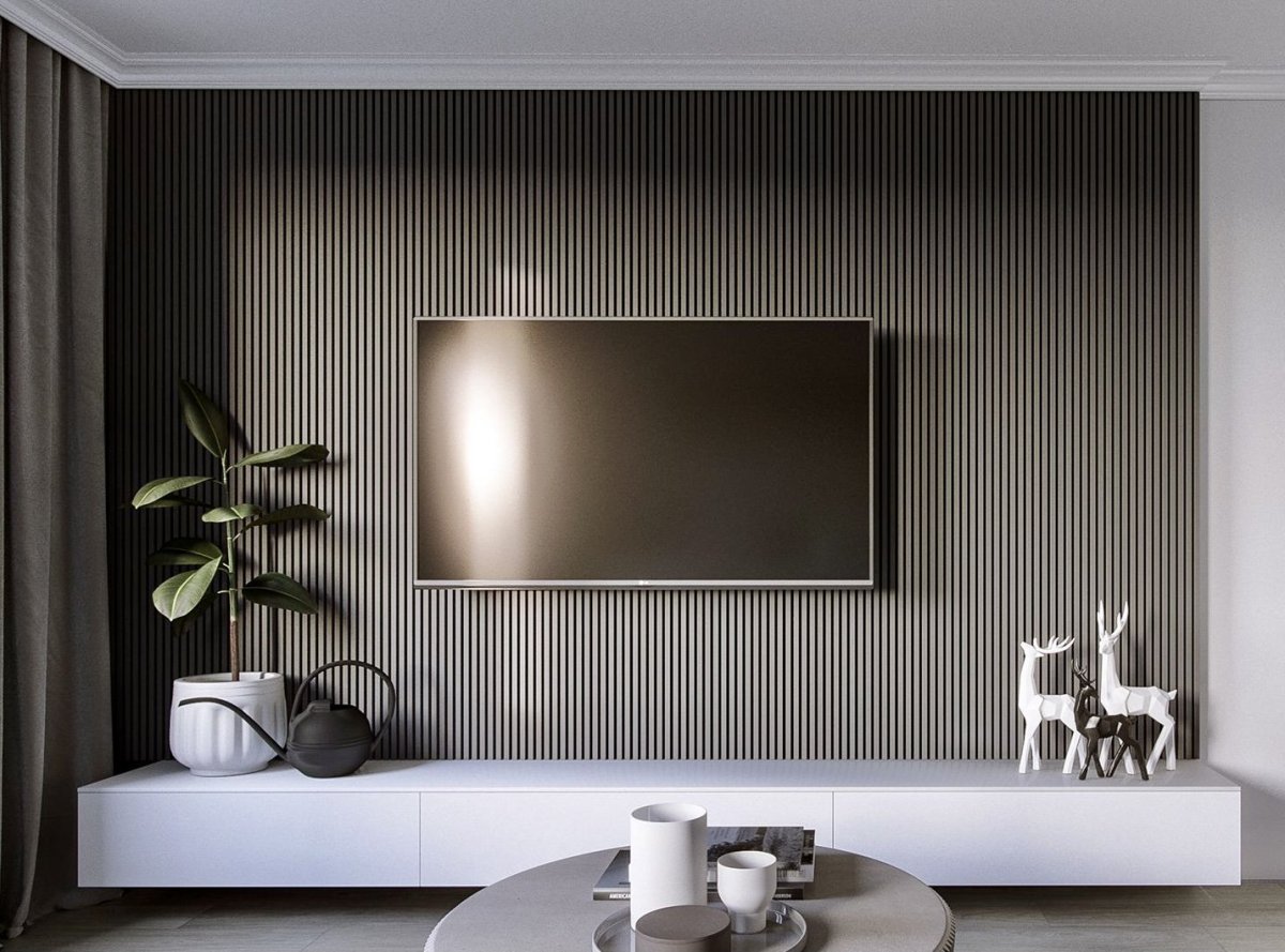 ТВ на рейках