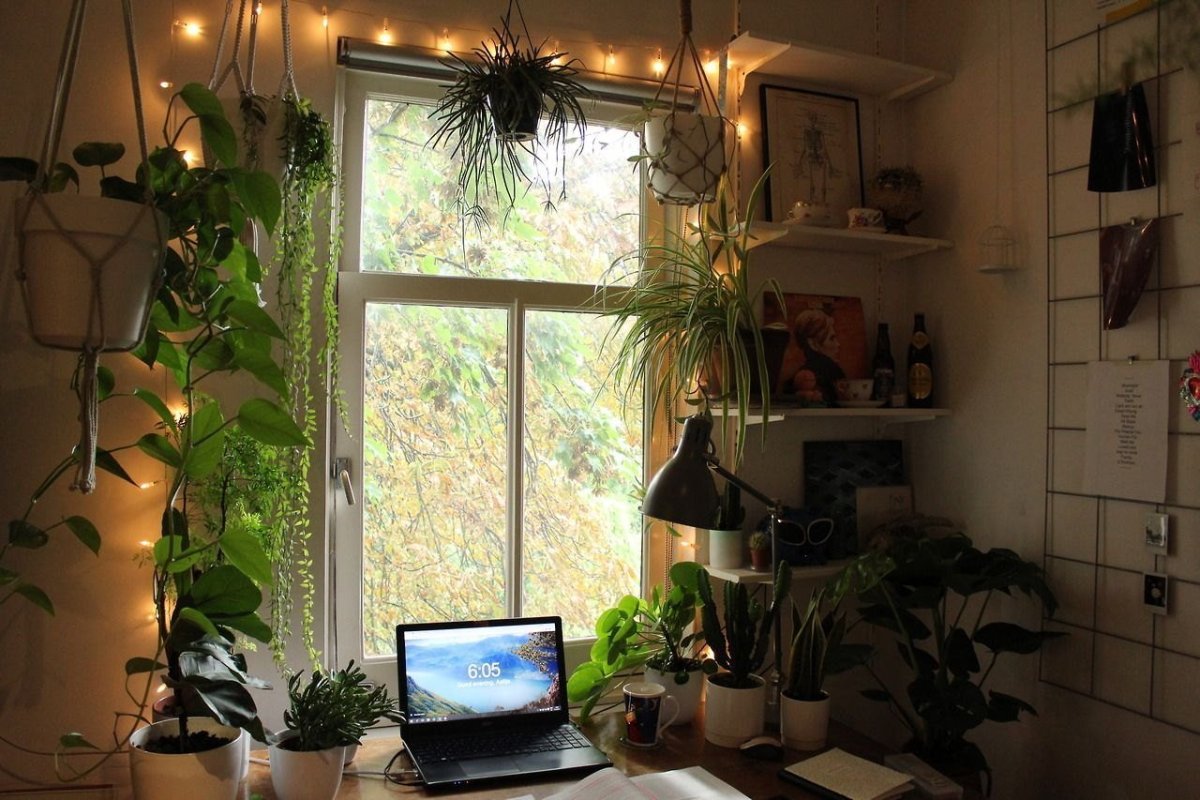 Уютная комната с зеленью