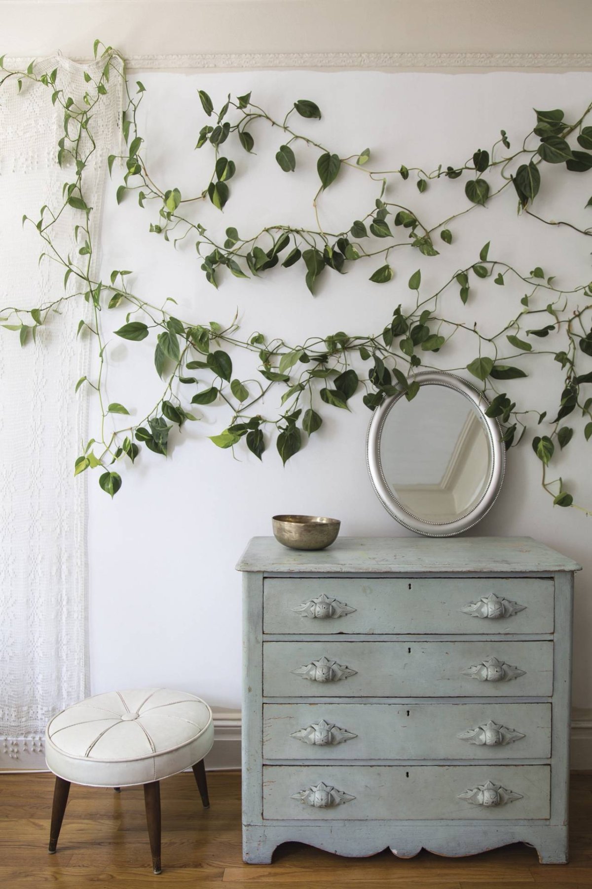 Лиана для украшения комнаты