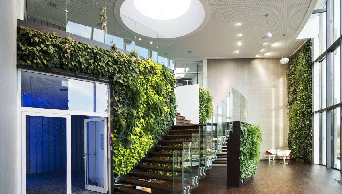 Живая стена в офисе