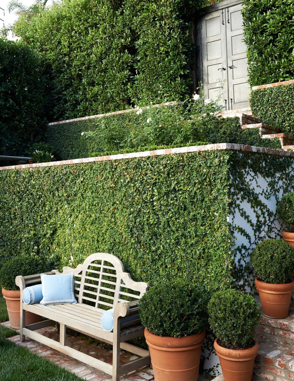 Самшит в интерьере сада