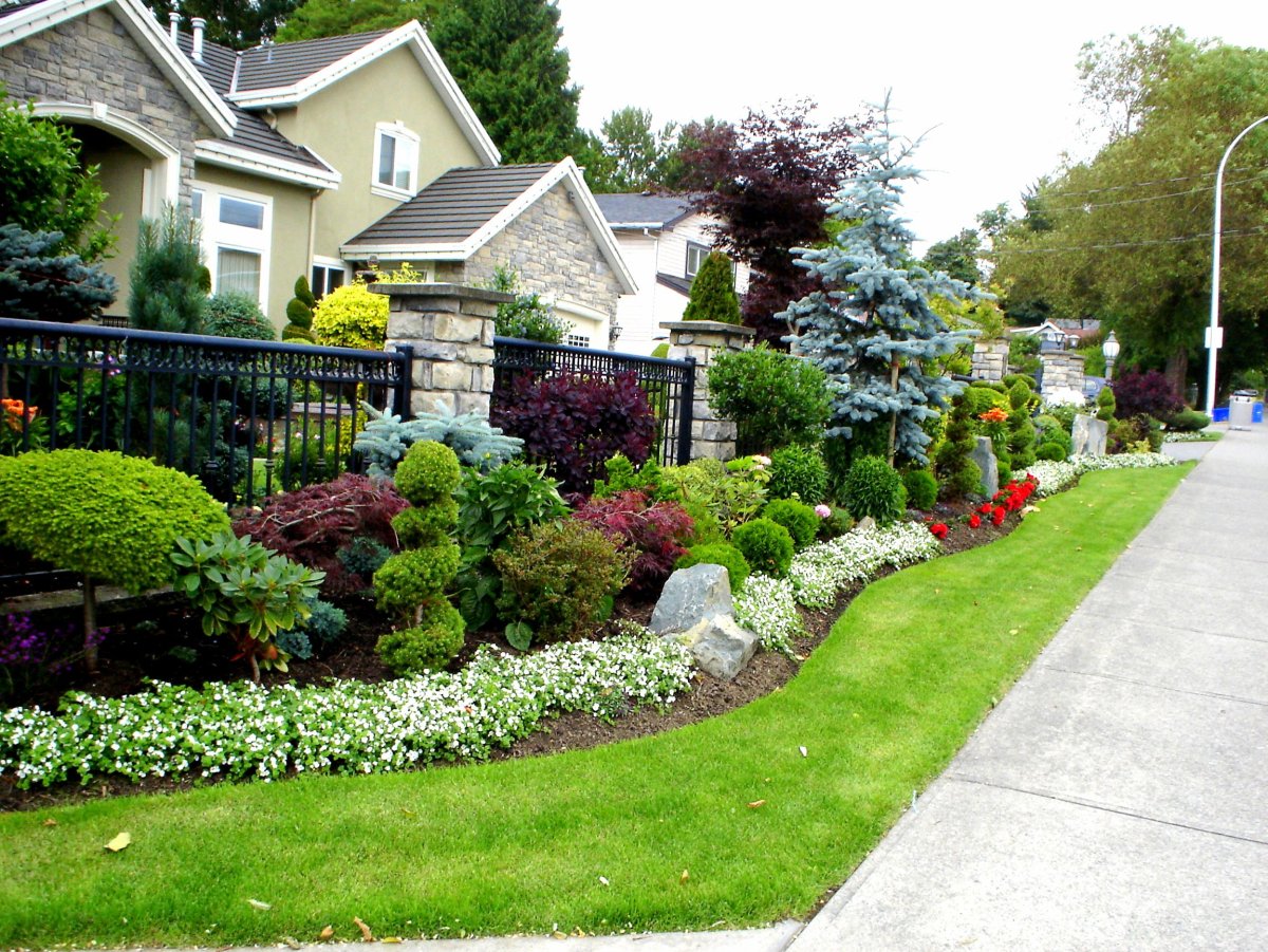 Ландшафт перед домом на улице