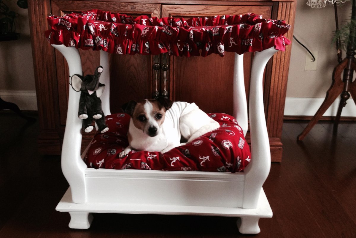 Кровтьдля собаки с занавесками