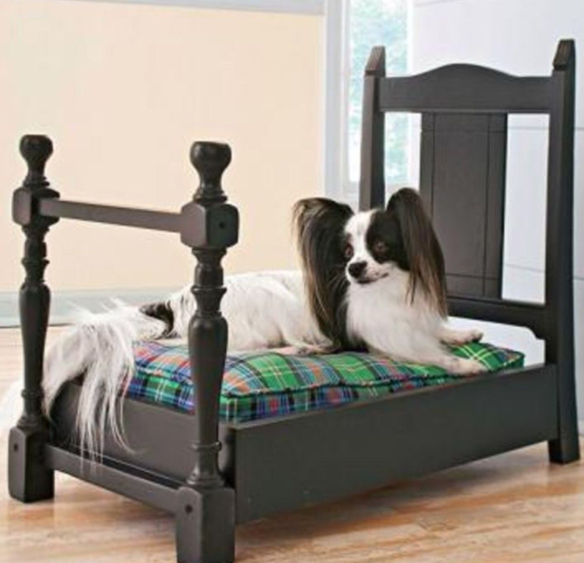 Кровати для маленьких собак