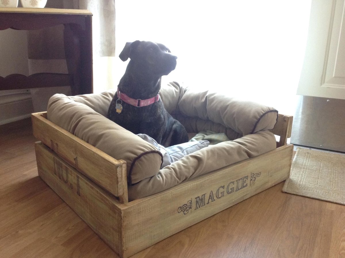 Креативные лежанки для собак