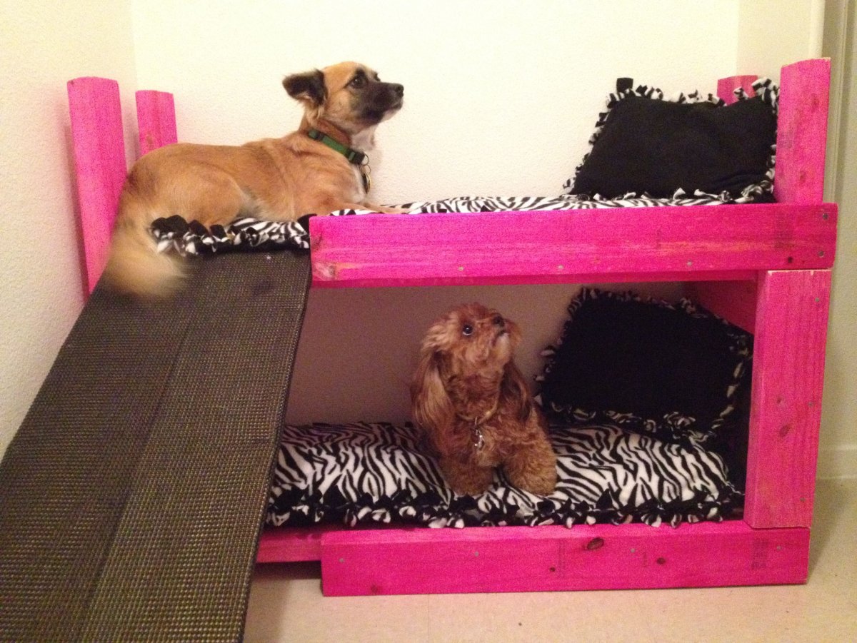 Собачка в кровати