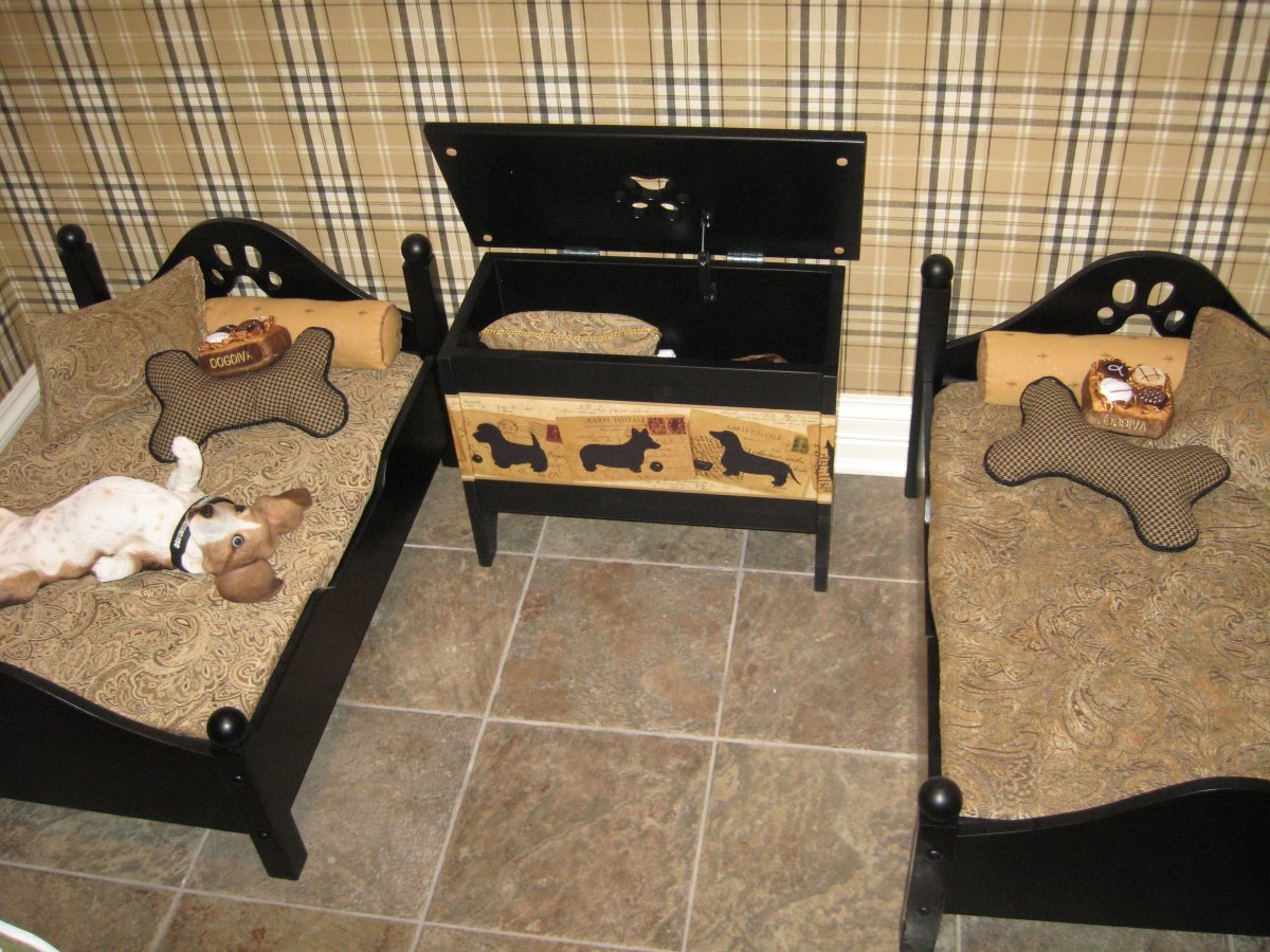 Щенок в комнате