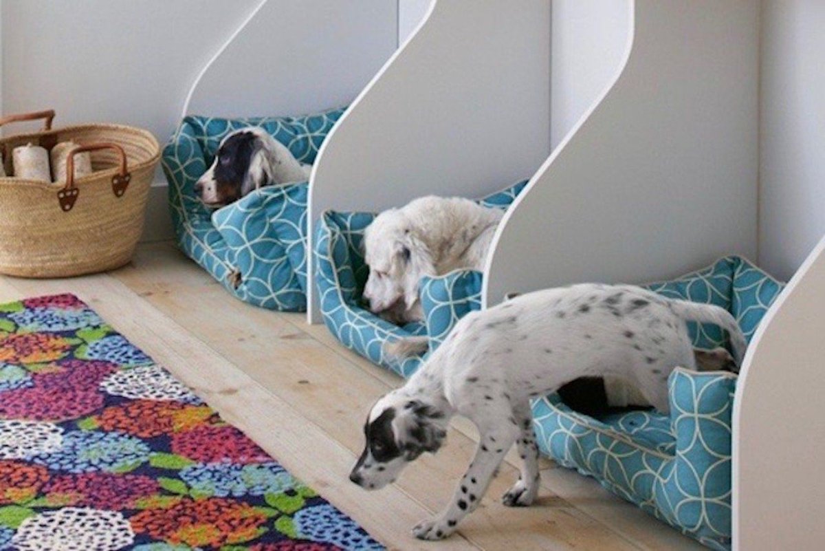 Собака в спальне