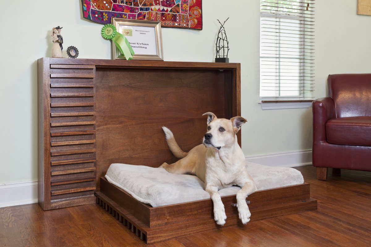 Собака в спальне