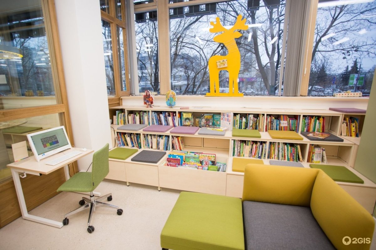 Библиотека Современник Заневский детская