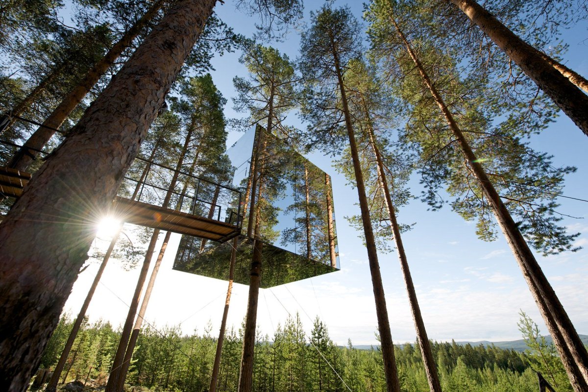 Стеклянный домик на дереве