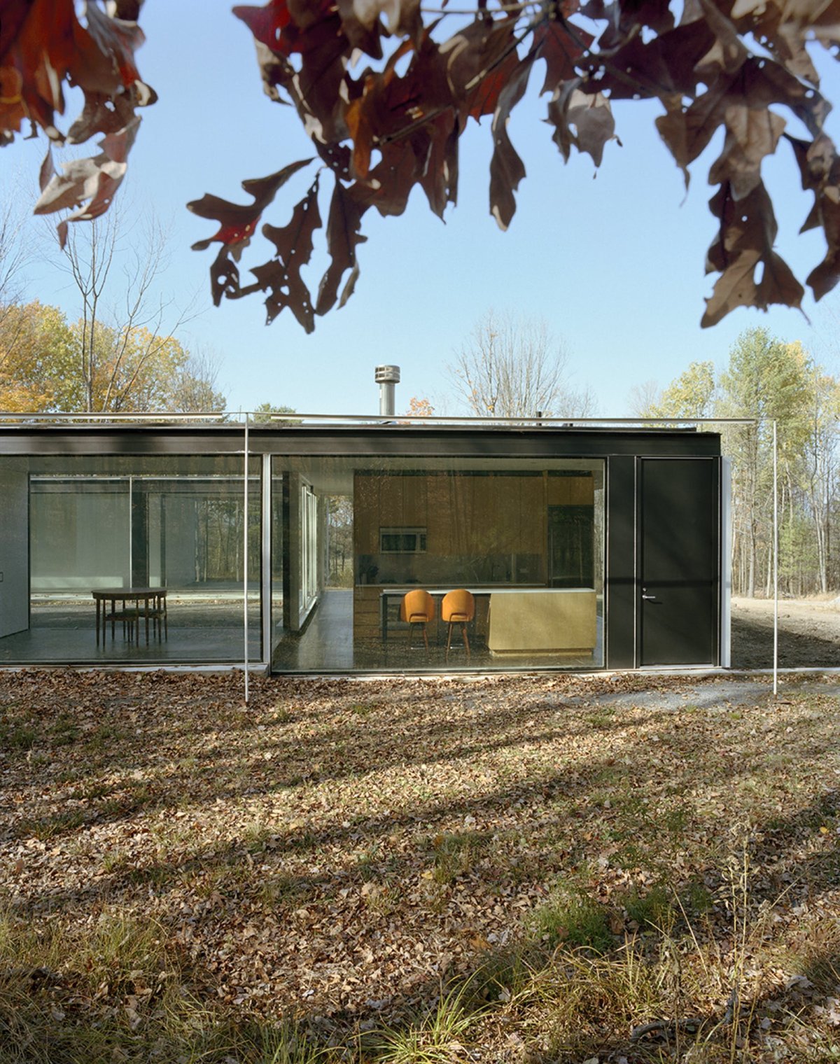 Стеклянный домик в лесу