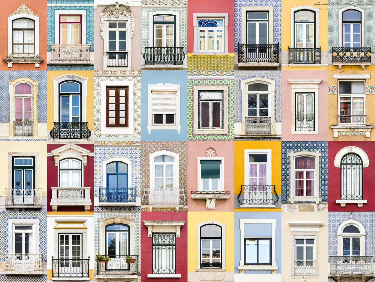 Окна мира Андре Висент Гонсалвис)