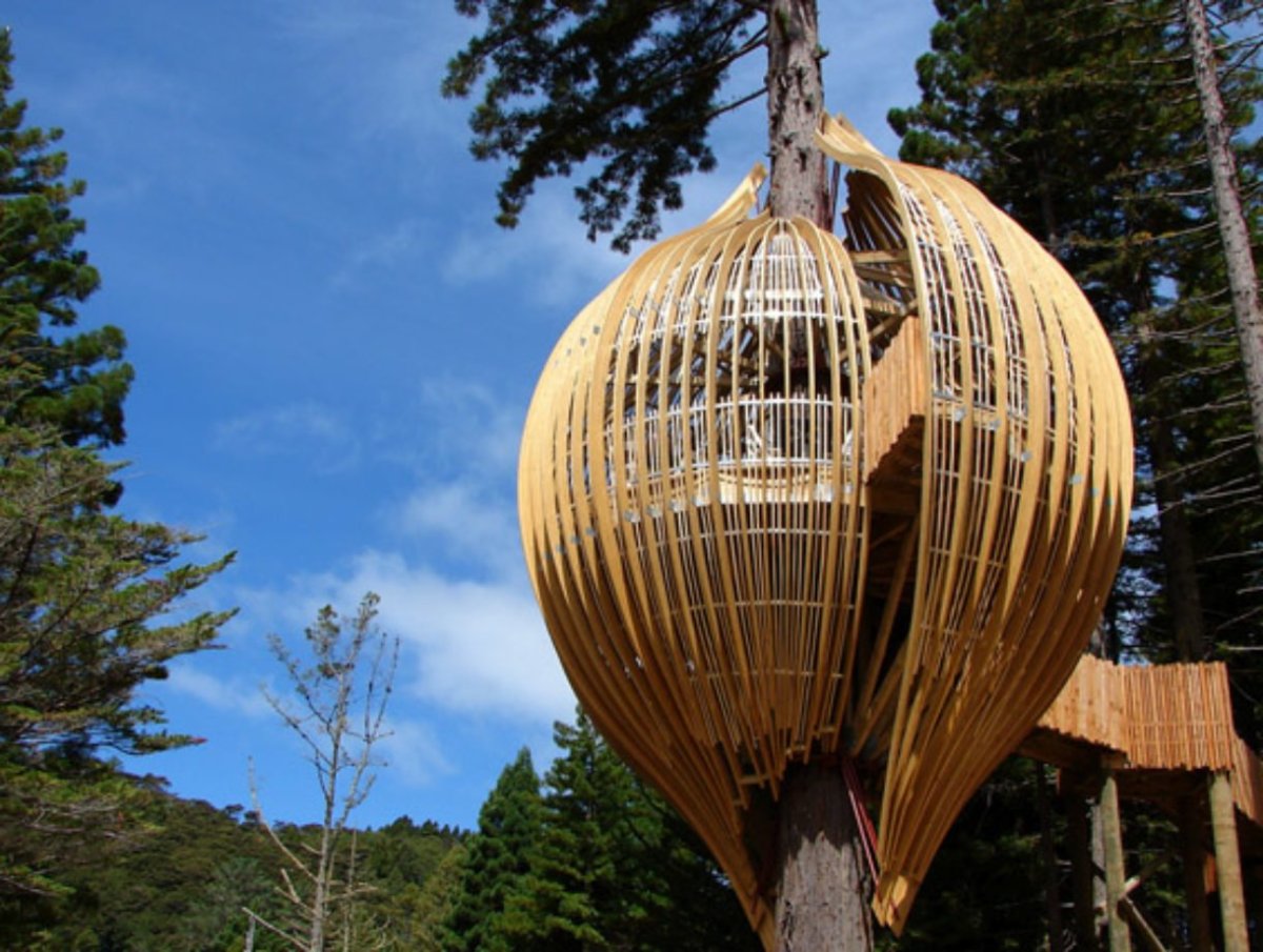 Yellow Treehouse Restaurant новая Зеландия