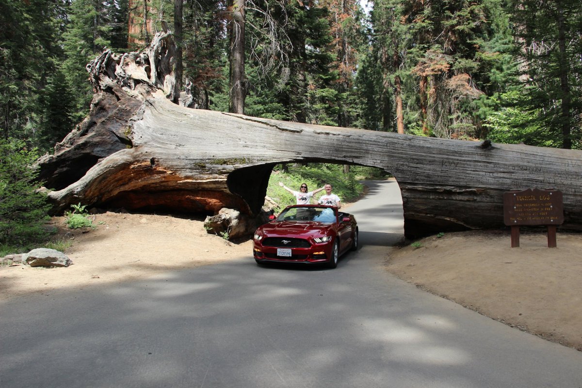 Дом из секвойи, Риджфилд, Вашингтон