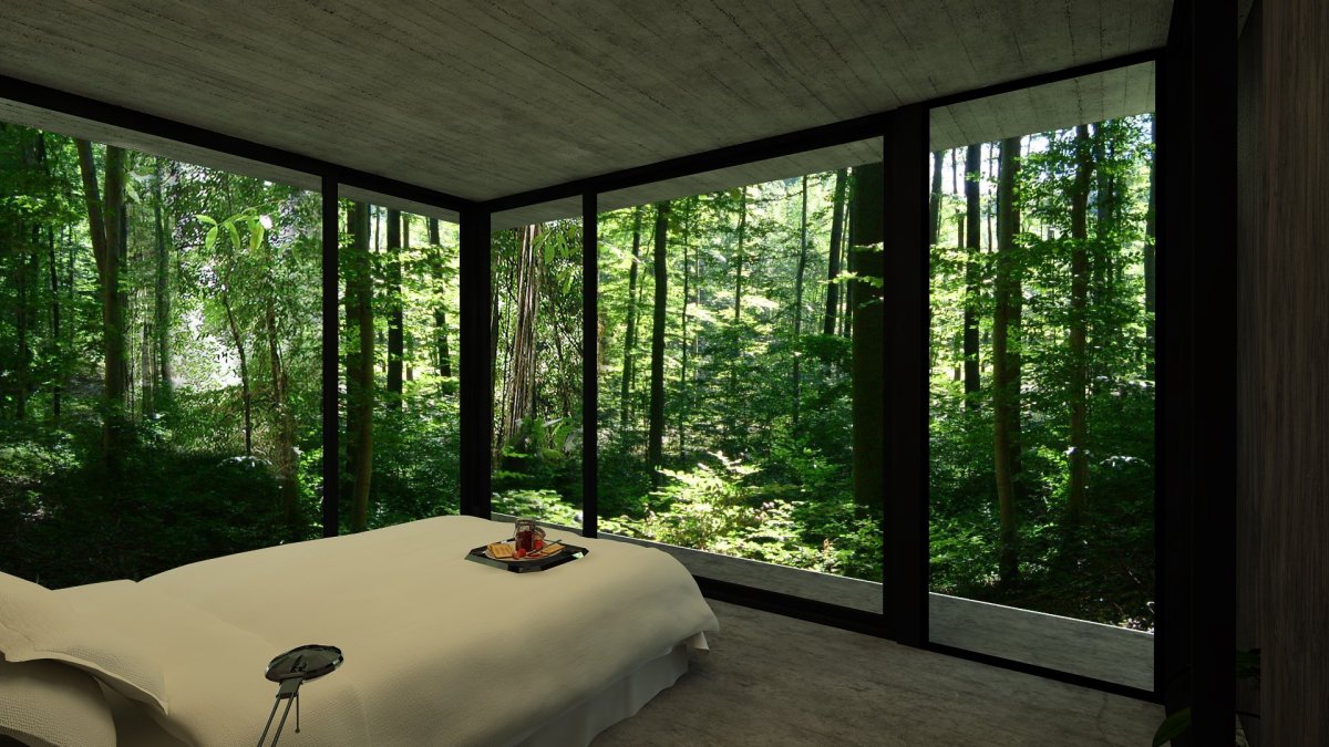 Стелкнный домик в лесу