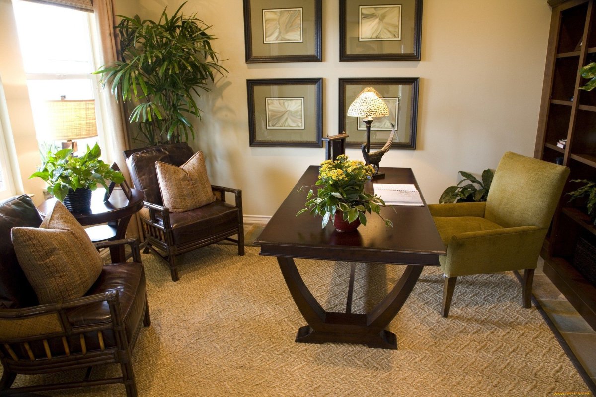 Кабинет американского психолога