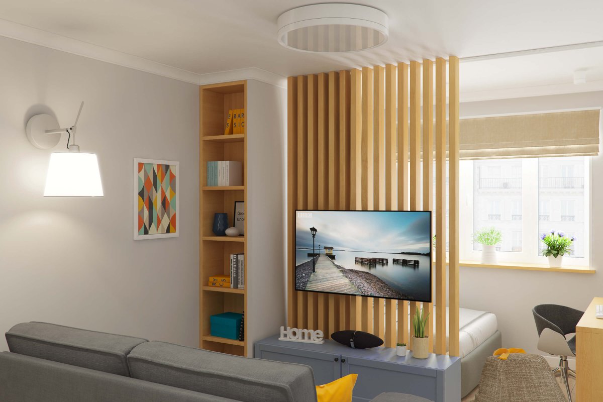 Перегородка с телевизором для зонирования