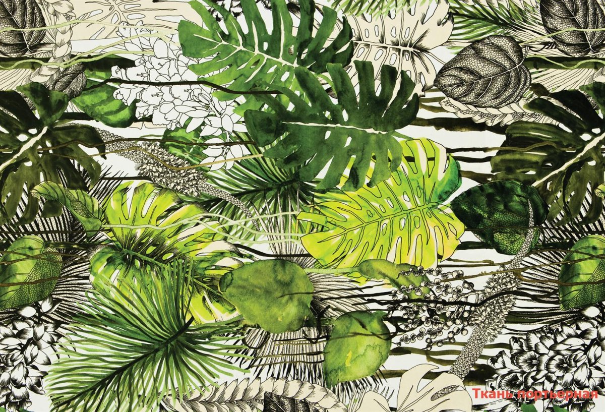 Папоротник пальмы монстера