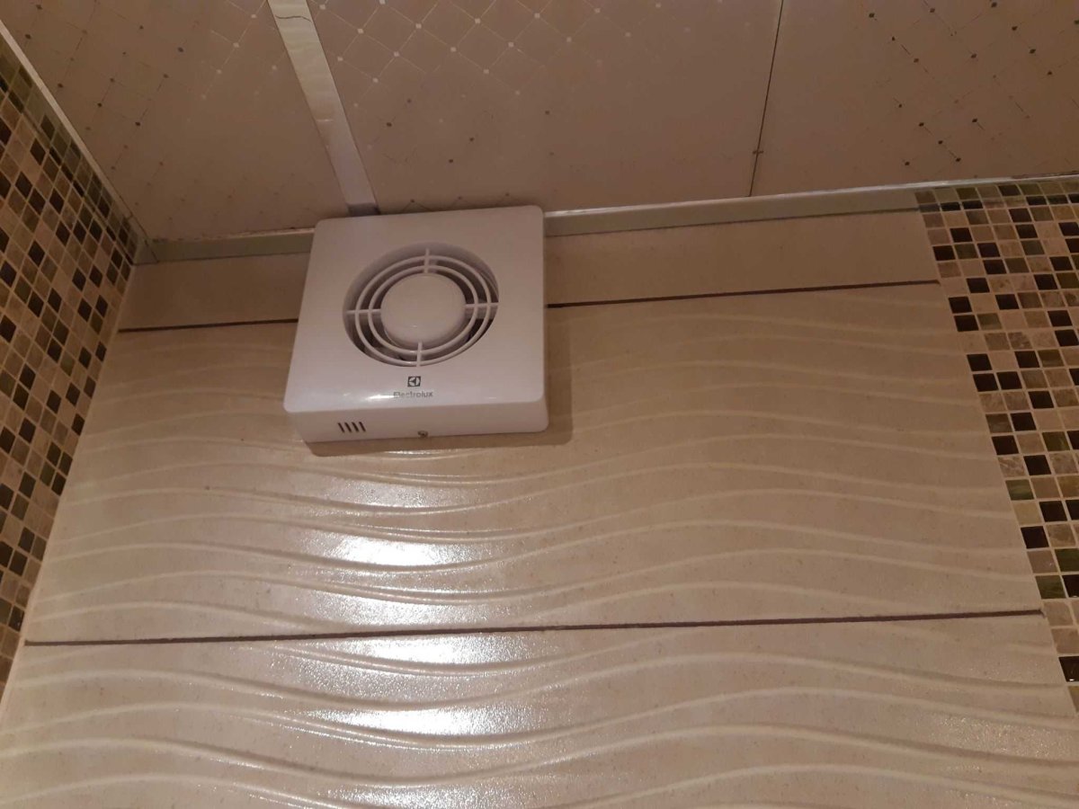 Electrolux Slim EAFS-100