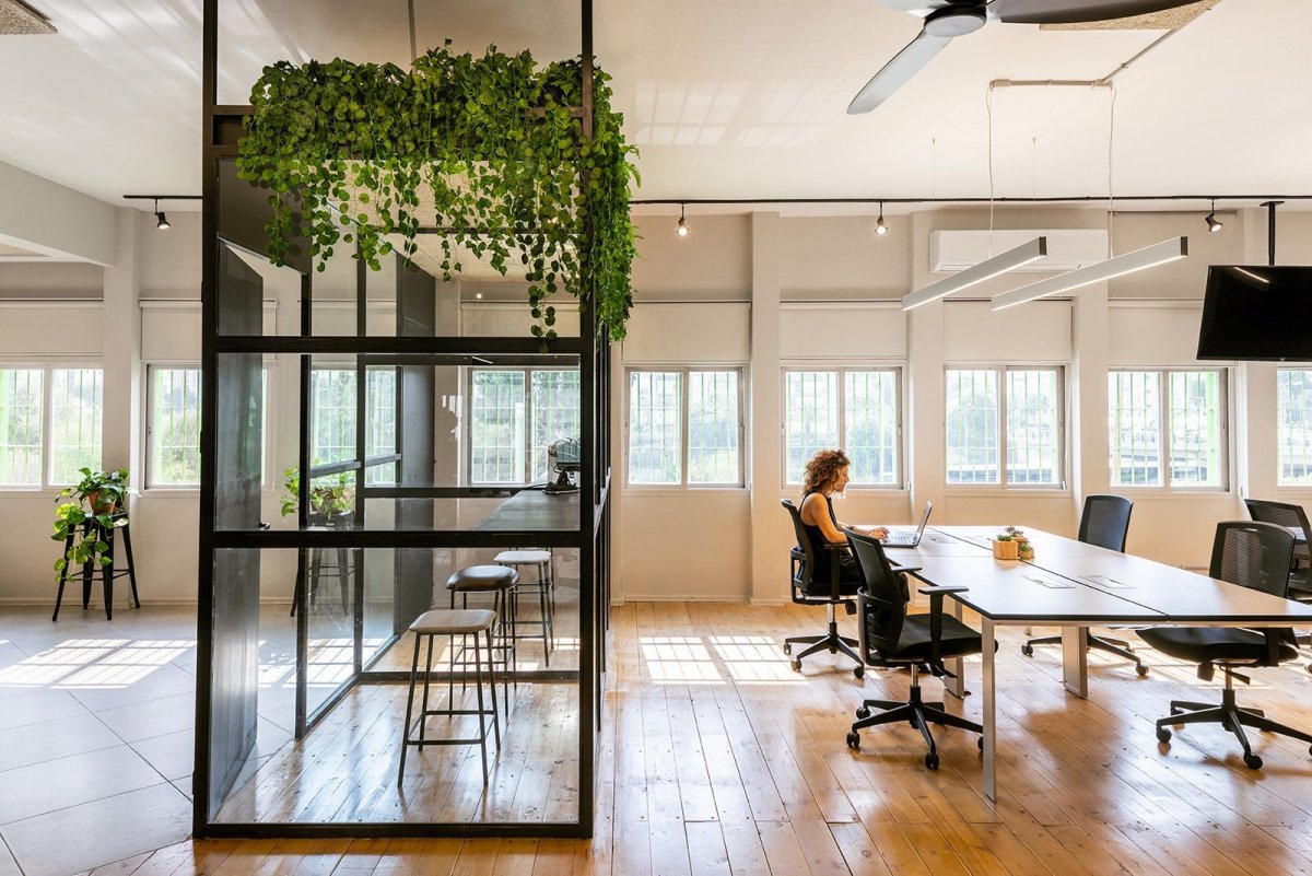 Коворкинг с зеленью