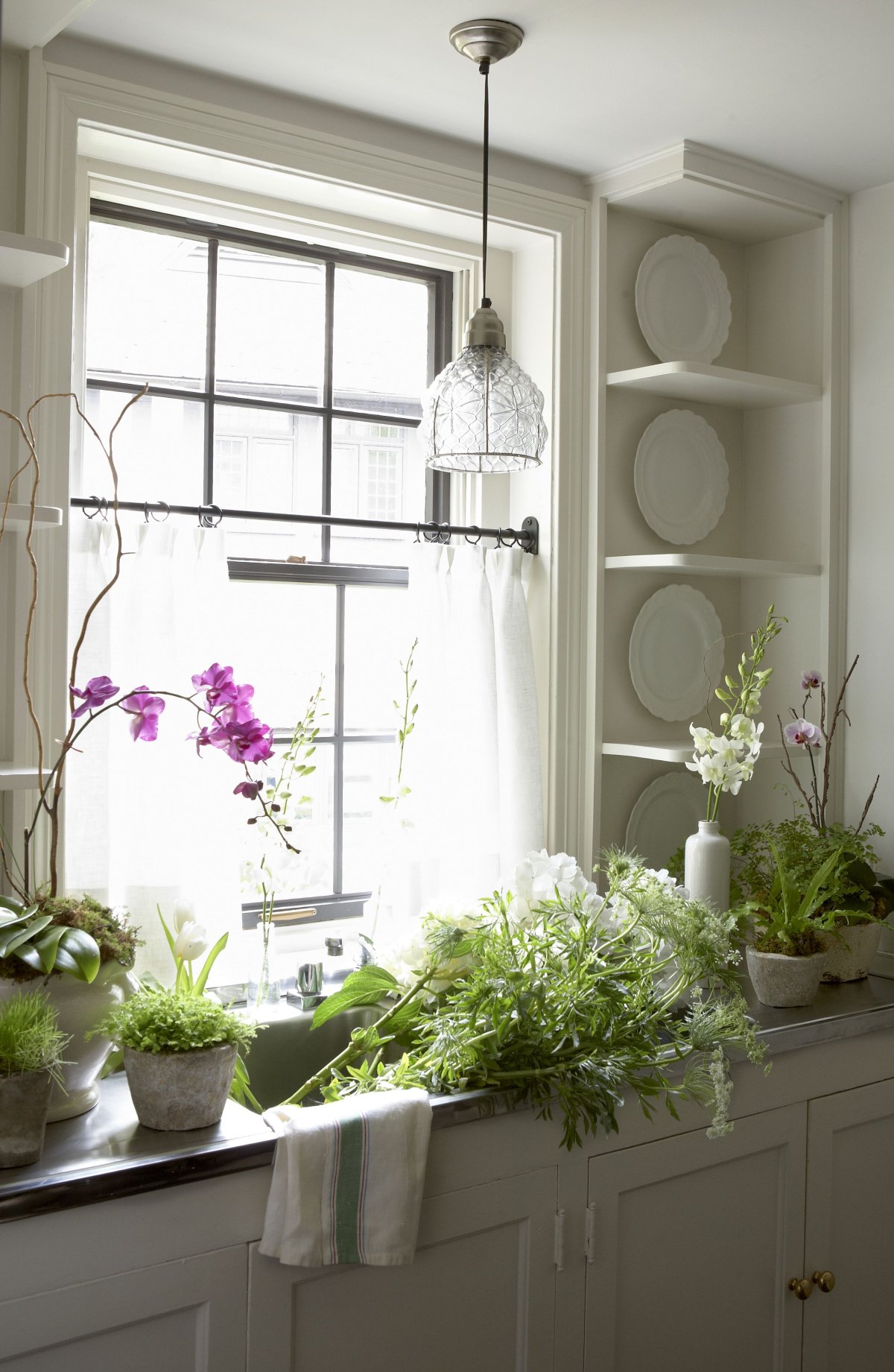 Цветы на кухонном подоконнике