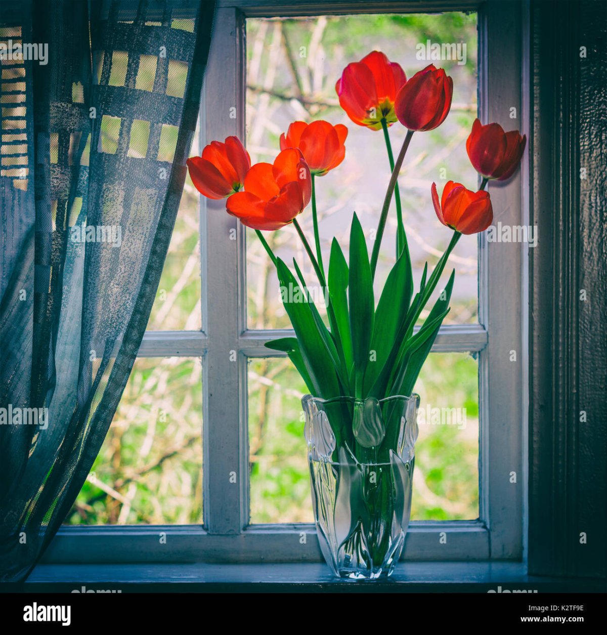 Тюльпаны в вазе на подоконнике
