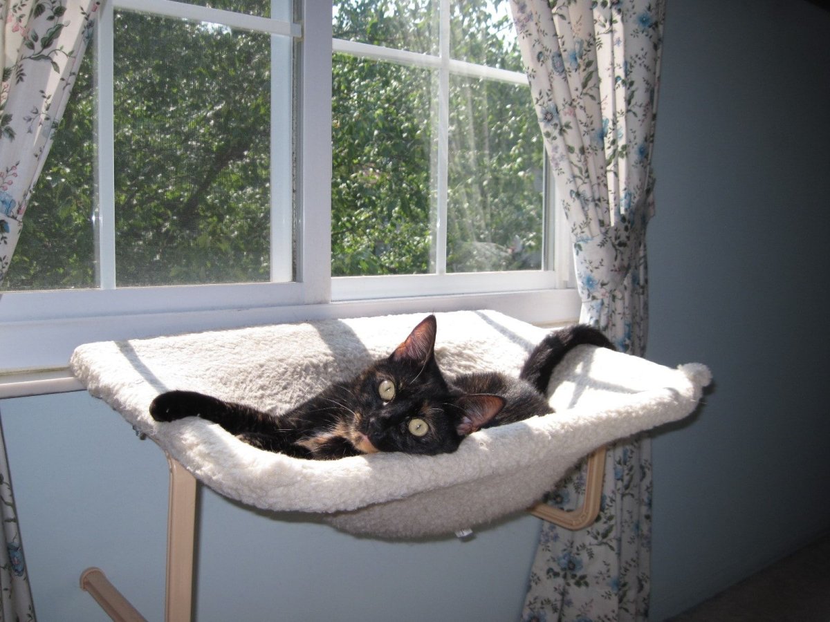 Кошачья лежанка на окно