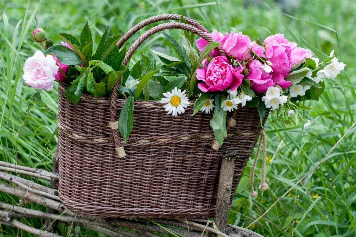 Полевые цветы в корзине