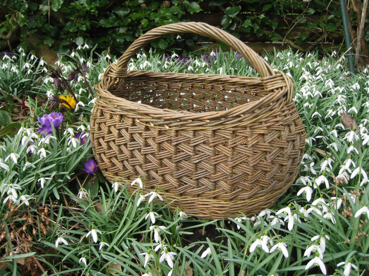Корзинка на траве