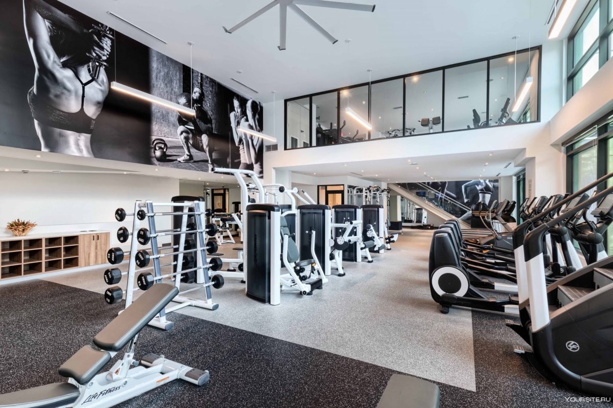 Спортзал интерьер