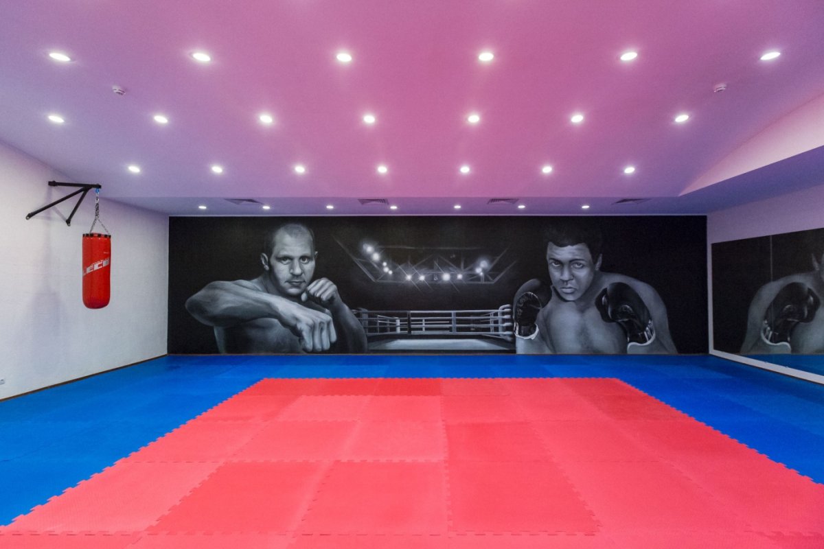 Баннер для зала единоборств