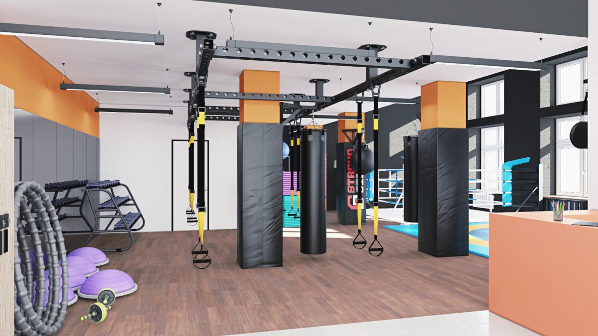 Зал единоборств мини