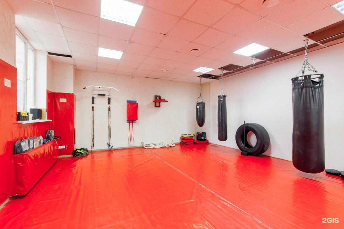 Интерьер зала единоборств