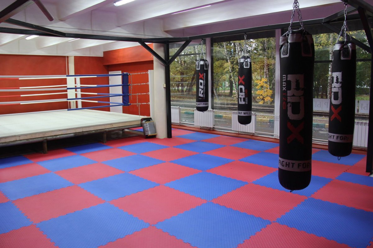 Спортзал единоборств