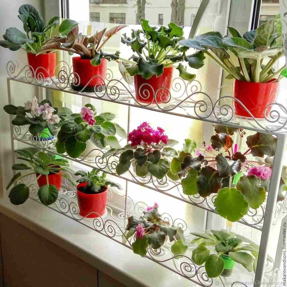 Стеклянные полки для цветов