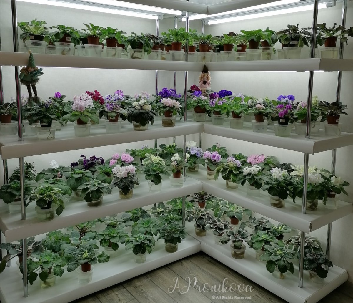 Стеллаж для фиалок