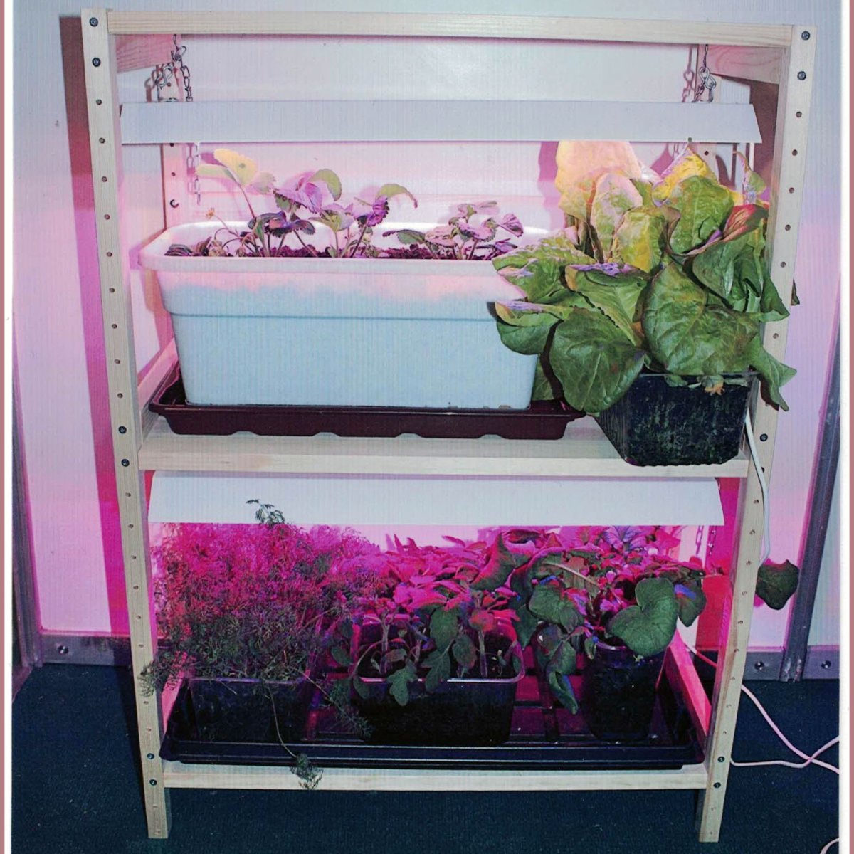 "Стеллаж 900 + 3 фитолампы 820